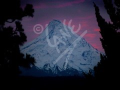 OREGON Mount Hood